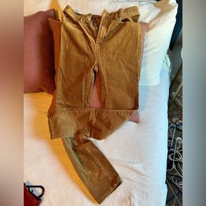 Tan cords from Loft